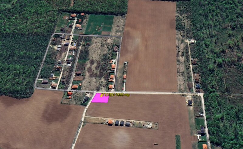 The Forest Collection 2, 1600 mp, Padurea Snagov, Ciofliceni, comision 0%.